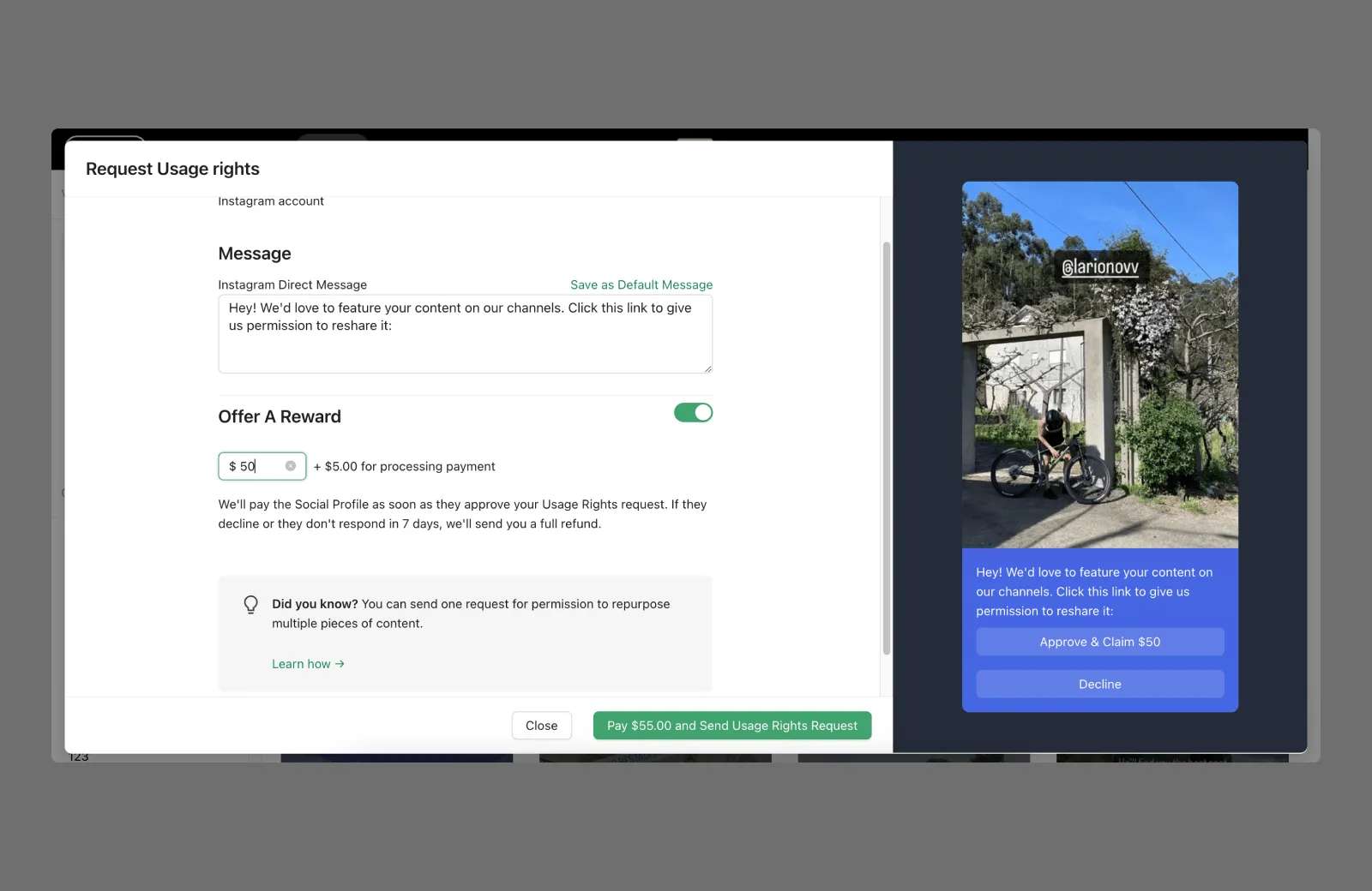 Adding custom terms and links to a request